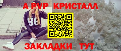 гашик Долгопрудный
