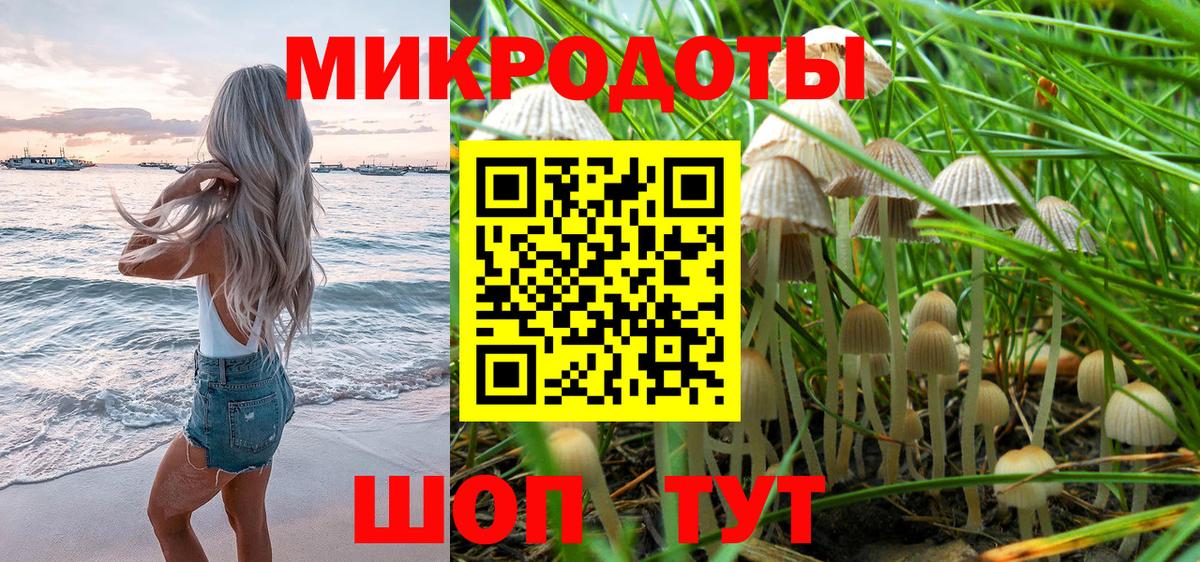 Гусь-Хрустальный  Псилоцибиновые грибы Psilocybe  как найти закладки  Вход с VPN 